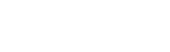 Skyvex Software